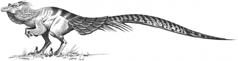 Иллюстрация к книге — Секрет рапторов [_162163.jpg]