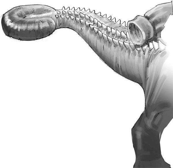 Иллюстрация к книге — Секрет рапторов [_199.jpg]