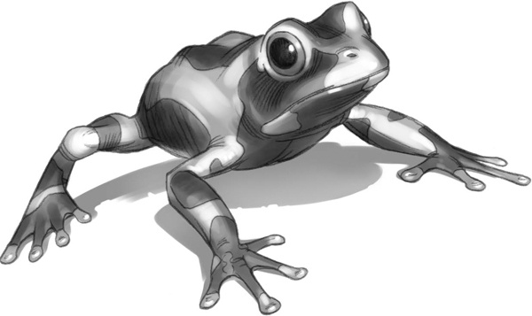 Иллюстрация к книге — Секрет рапторов [_215.jpg]