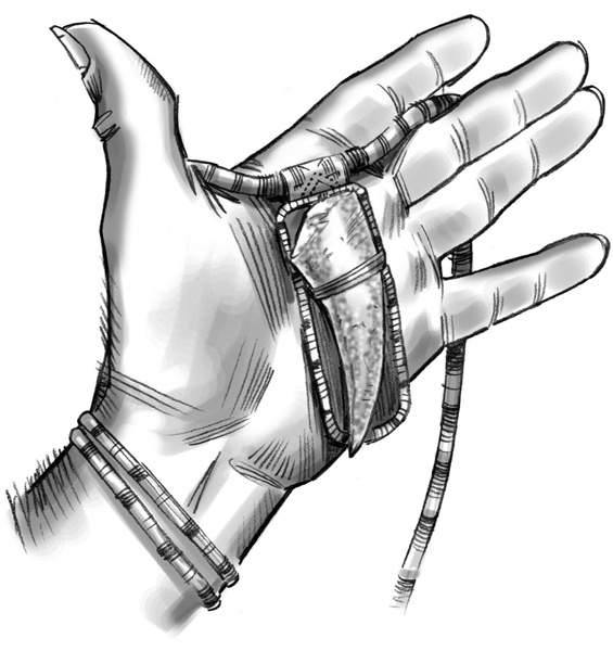 Иллюстрация к книге — Секрет рапторов [_218.jpg]