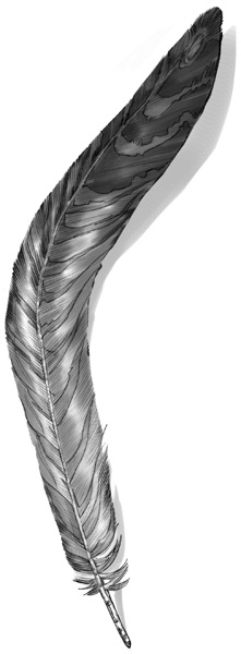 Иллюстрация к книге — Секрет рапторов [_226.jpg]