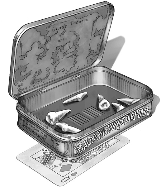 Иллюстрация к книге — Секрет рапторов [_240.jpg]