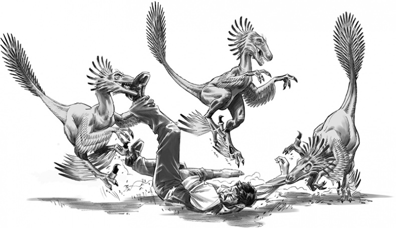 Иллюстрация к книге — Секрет рапторов [_312313.jpg]