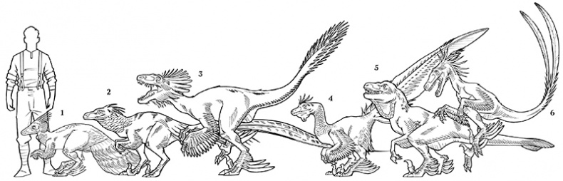 Иллюстрация к книге — Секрет рапторов [_328.jpg]