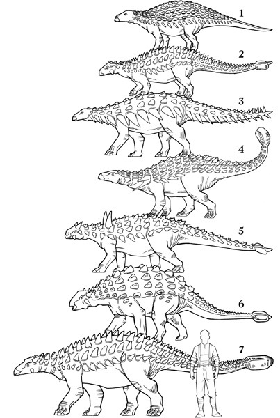 Иллюстрация к книге — Секрет рапторов [_335.jpg]