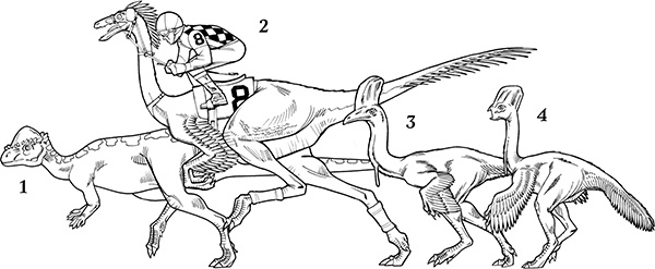 Иллюстрация к книге — Секрет рапторов [_336.jpg]