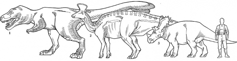 Иллюстрация к книге — Секрет рапторов [_344345.jpg_0.jpg]