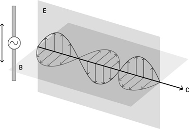 Иллюстрация к книге — Почему мы существуем? Величайшая из когда-либо рассказанных историй [i_016.jpg]