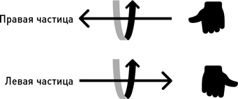 Иллюстрация к книге — Почему мы существуем? Величайшая из когда-либо рассказанных историй [i_057.jpg]