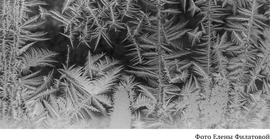 Иллюстрация к книге — Почему мы существуем? Величайшая из когда-либо рассказанных историй [i_058.jpg]