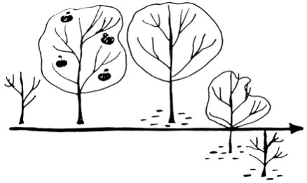 Иллюстрация к книге — Сам себе финансист. Как тратить с умом и копить правильно [image4.jpg]