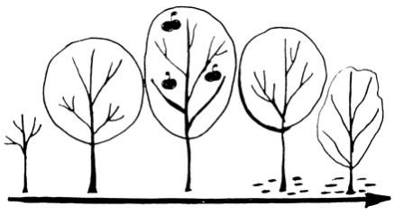 Иллюстрация к книге — Сам себе финансист. Как тратить с умом и копить правильно [image5.jpg]