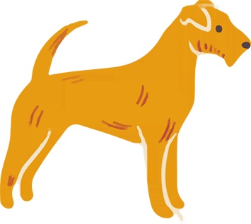 Иллюстрация к книге — Атлас счастья. Уникальные рецепты счастья со всего света [i_097.jpg]