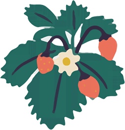 Иллюстрация к книге — Атлас счастья. Уникальные рецепты счастья со всего света [i_141.jpg]