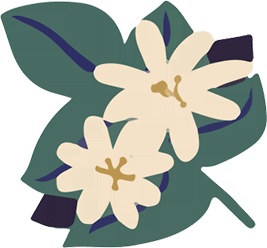 Иллюстрация к книге — Атлас счастья. Уникальные рецепты счастья со всего света [i_159.jpg]