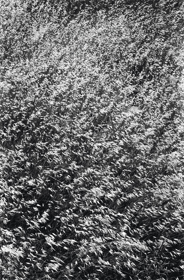 Иллюстрация к книге — Гуру пьет бурбон? [i_014.jpg]