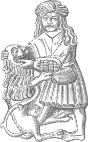 Иллюстрация к книге — Наиболее распространенные заблуждения и безумства толпы [i_035.jpg]