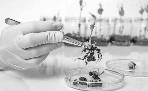 Иллюстрация к книге — Незримая битва сверхдержав [i_057.jpg]