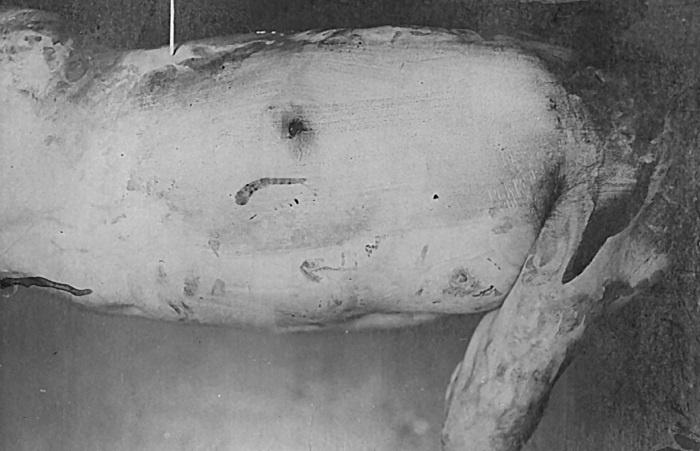 Иллюстрация к книге — Последняя тайна Распутина [i_063.jpg]