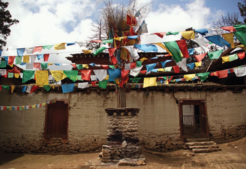 Иллюстрация к книге — Золотой лебедь в бурных водах. Необыкновенная жизнь Десятого Кармапы [i_028.jpg]