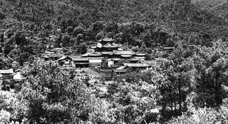 Иллюстрация к книге — Золотой лебедь в бурных водах. Необыкновенная жизнь Десятого Кармапы [i_030.jpg]