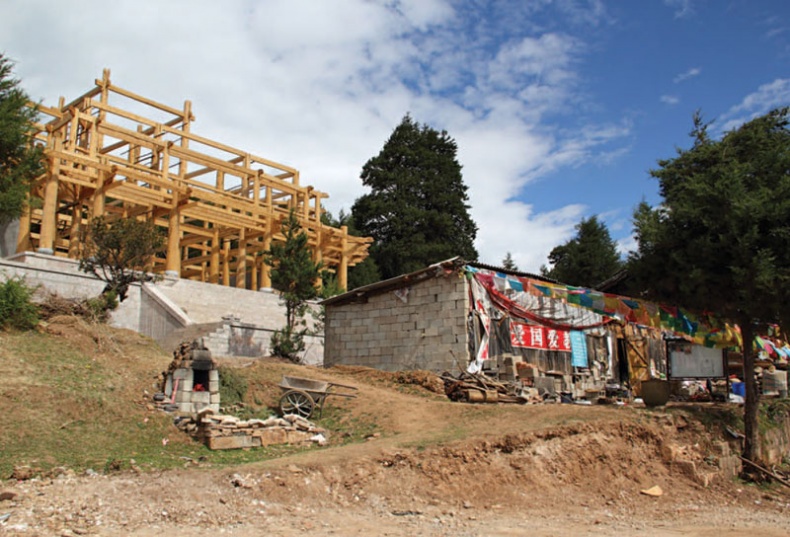 Иллюстрация к книге — Золотой лебедь в бурных водах. Необыкновенная жизнь Десятого Кармапы [i_031.jpg]