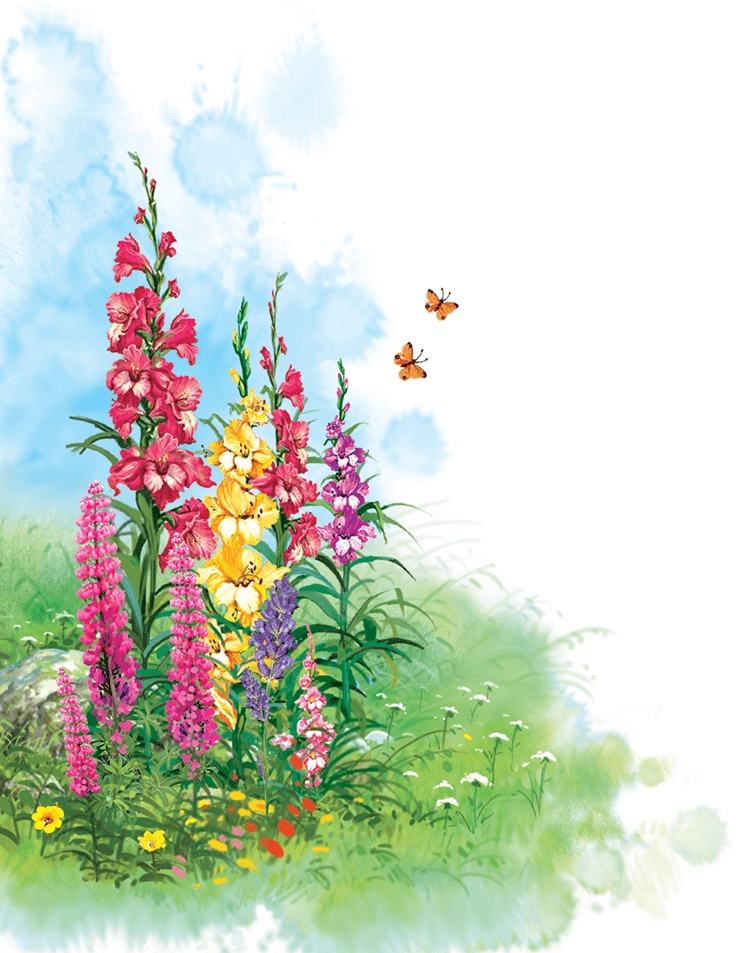 Иллюстрация к книге — Дорога из мармелада [i_012.jpg]