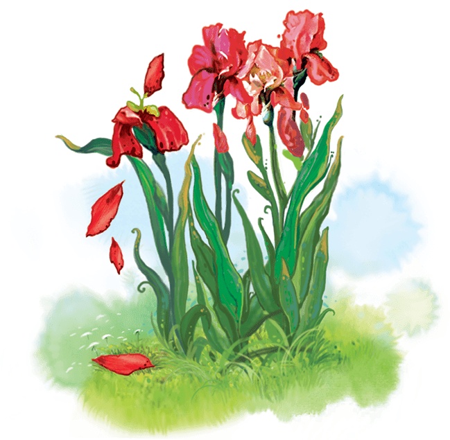 Иллюстрация к книге — Дорога из мармелада [i_023.jpg]