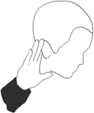 Иллюстрация к книге — 100 способов казаться умнее, чем на самом деле [i_147.jpg]