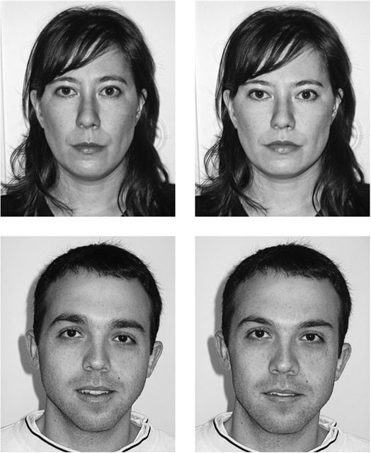 Иллюстрация к книге — Любовь и секс. Как мы ими занимаемся. Прямой репортаж из научных лабораторий, изучающих человеческую сексуальность [i_004.jpg]