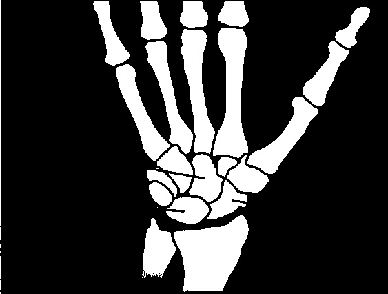 Иллюстрация к книге — Осторожно, спорт! О вреде бега, фитнеса и других физических нагрузок [img_1.jpg]