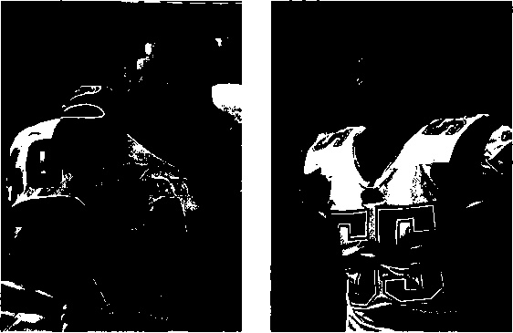 Иллюстрация к книге — Осторожно, спорт! О вреде бега, фитнеса и других физических нагрузок [img_19.jpg]