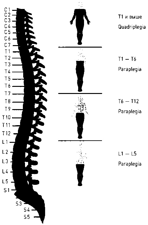 Иллюстрация к книге — Осторожно, спорт! О вреде бега, фитнеса и других физических нагрузок [img_20.jpg]