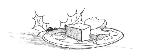 Иллюстрация к книге — Отец Рождество и Я [i_008.jpg]