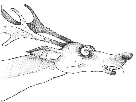 Иллюстрация к книге — Отец Рождество и Я [i_022.jpg]