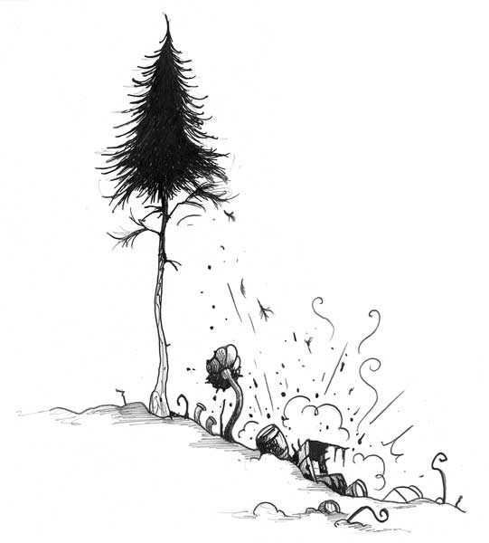 Иллюстрация к книге — Отец Рождество и Я [i_025.jpg]