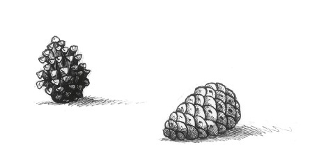 Иллюстрация к книге — Отец Рождество и Я [i_036.jpg]