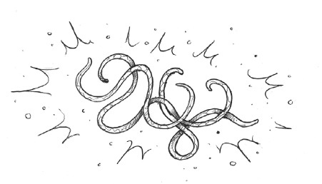 Иллюстрация к книге — Отец Рождество и Я [i_061.jpg]