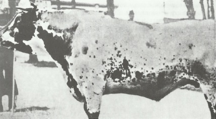 Иллюстрация к книге — Смерть после полудня [i_002.jpg]