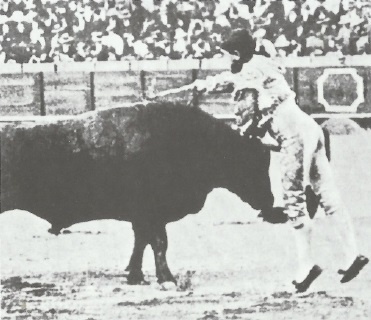 Иллюстрация к книге — Смерть после полудня [i_064.jpg]