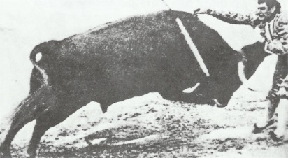 Иллюстрация к книге — Смерть после полудня [i_068.jpg]