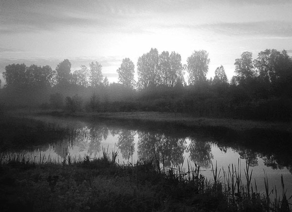 Иллюстрация к книге — Марш жизни. Как спасали долгиновских евреев [i_002.jpg]