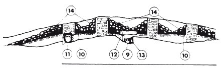 Иллюстрация к книге — Карфаген. Летопись легендарного города-государства с основания до гибели [i_006.jpg]