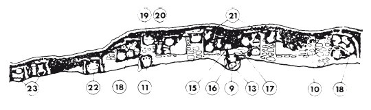 Иллюстрация к книге — Карфаген. Летопись легендарного города-государства с основания до гибели [i_007.jpg]
