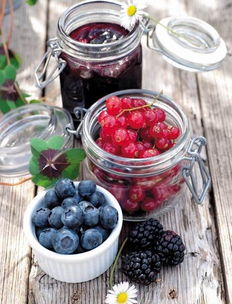 Иллюстрация к книге — 365 рецептов. Блюда из хлебопечки [i_045.jpg]