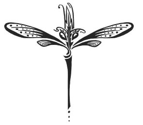 Иллюстрация к книге — Миднайт. 1. Наместник ночи [i_005.jpg]