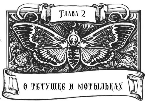 Иллюстрация к книге — Миднайт. 1. Наместник ночи [i_006.jpg]