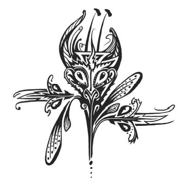 Иллюстрация к книге — Миднайт. 1. Наместник ночи [i_015.jpg]