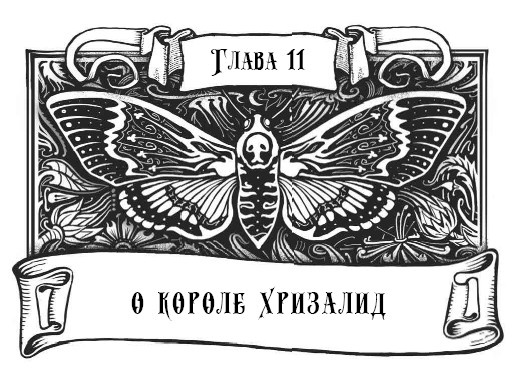 Иллюстрация к книге — Миднайт. 1. Наместник ночи [i_024.jpg]