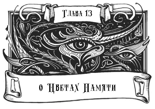 Иллюстрация к книге — Миднайт. 1. Наместник ночи [i_028.jpg]